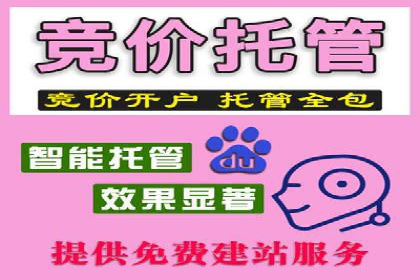 探索百度竞价账户托管的最佳实践：多行业成功案例剖析